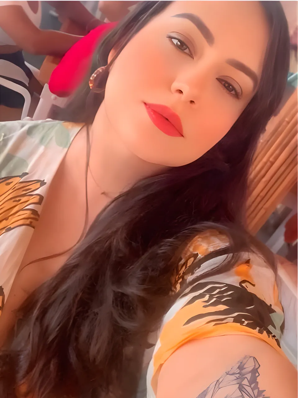 LANNE BRASIL